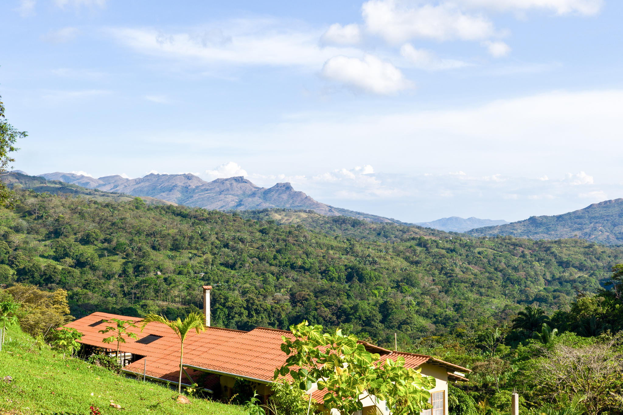 Reinventing Ourselves as Coffee Farmers in Veraguas