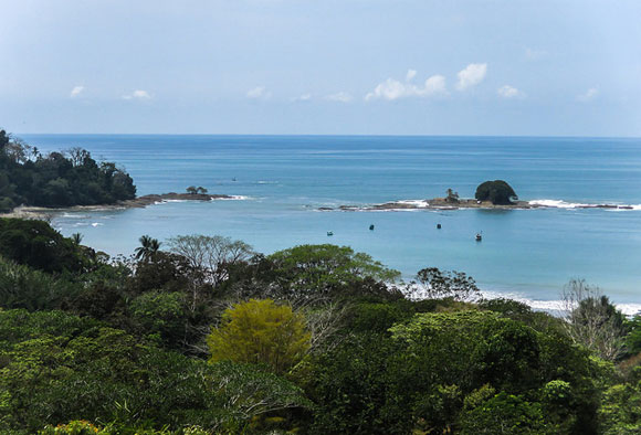 Hair-Raising Drives and Terrified Cats in the Jungles of Costa Rica