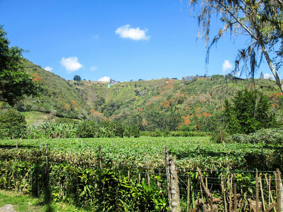 Orosi Valley, Costa Rica