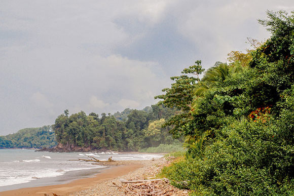 Playa Ballena, Southern Zone, Costa Rica.