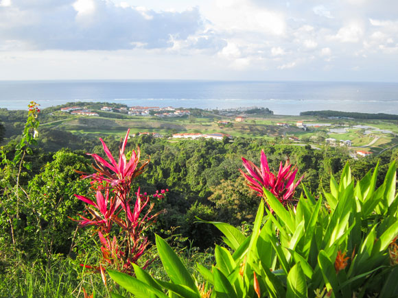 No More Winters Since We Moved to This Caribbean Island