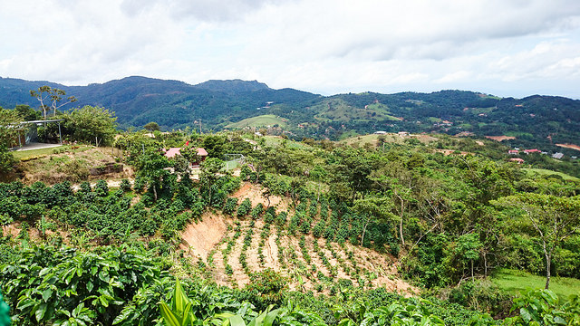 grecia-costa-rica