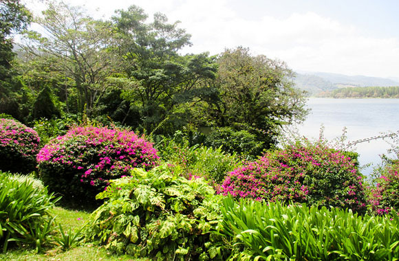 Farming in the Orosí Valley, Costa Rica