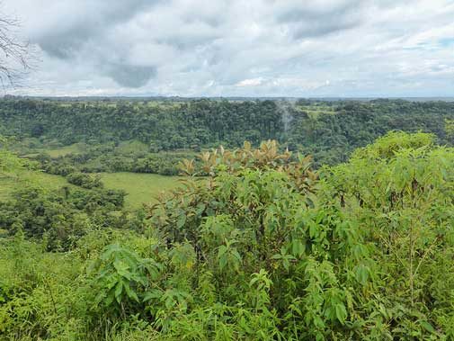 Chiriqui