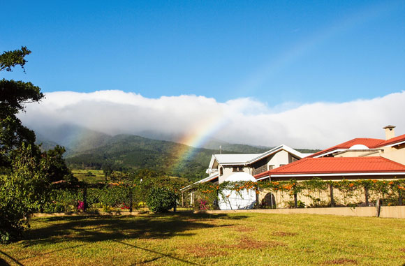 “In Costa Rica, I’m Happier Than I’ve Been Since I Was a Kid”