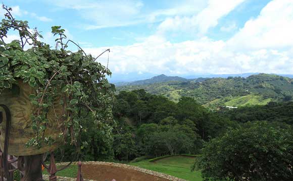 Turning Cheese into Profit in Costa Rica’s Central Valley