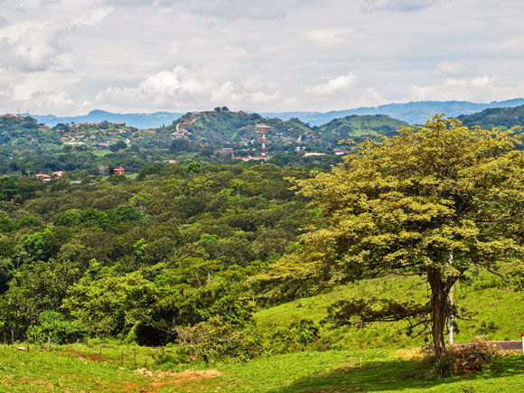 Gentle Living on a Costa Rican Coffee Farm