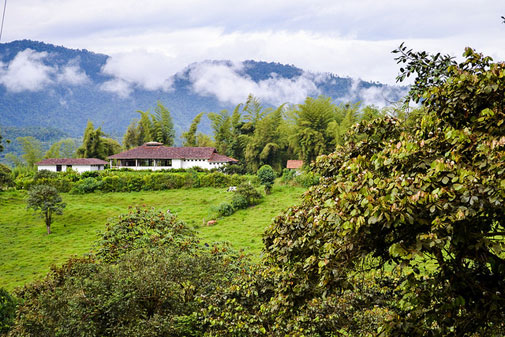 Mindo, Ecuador: A Nature Lover’s Paradise