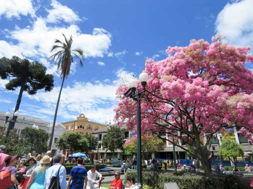 The Three Best Neighborhoods in Ecuador’s Cultured Capital