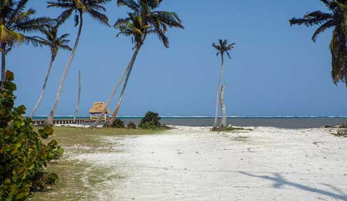 A Profitable Beach Bar Business in a Caribbean Haven