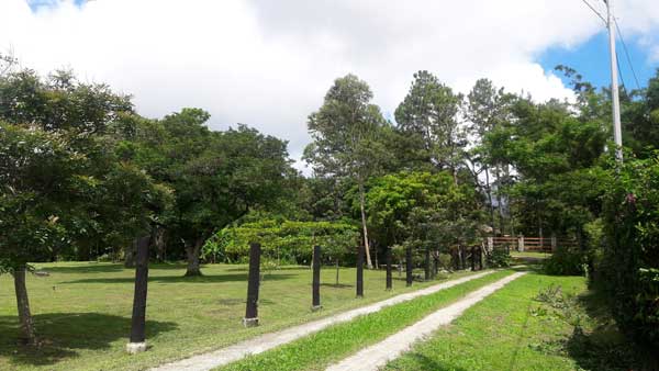 Reconnect with Nature in Panama’s Crater Valley