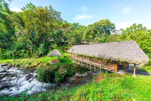 Small-Town Ecuador—Surround Yourself With Nature in Mindo