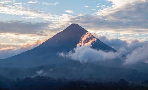 Parisian Vineyards, Guatemalan Food, and More