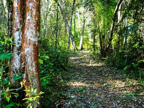 A Profitable, Eco-Friendly Business in the Cayo