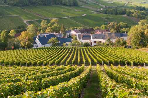 Embracing the Good Life in Affordable Sancerre