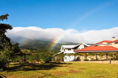 “I Can Breathe Again” in Costa  Rica’s Central Valley