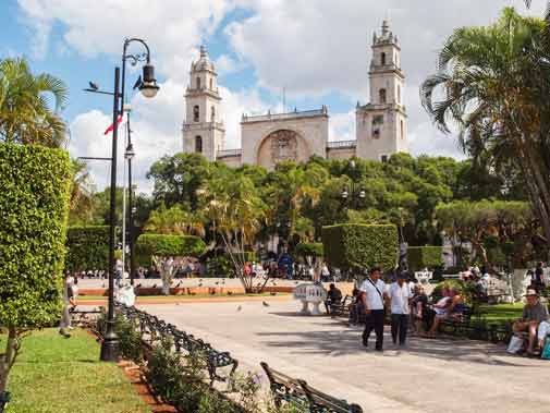 An Art Broker Finds his Ideal Retirement in Mérida