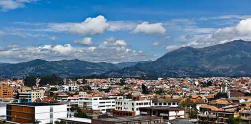 Research Was the Key in Bringing Our Pets to Cuenca