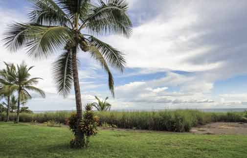 Stress-Free Business on  the Beach in Panama