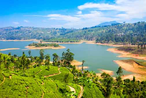 Exploring a Tropical Paradise in Sri Lanka