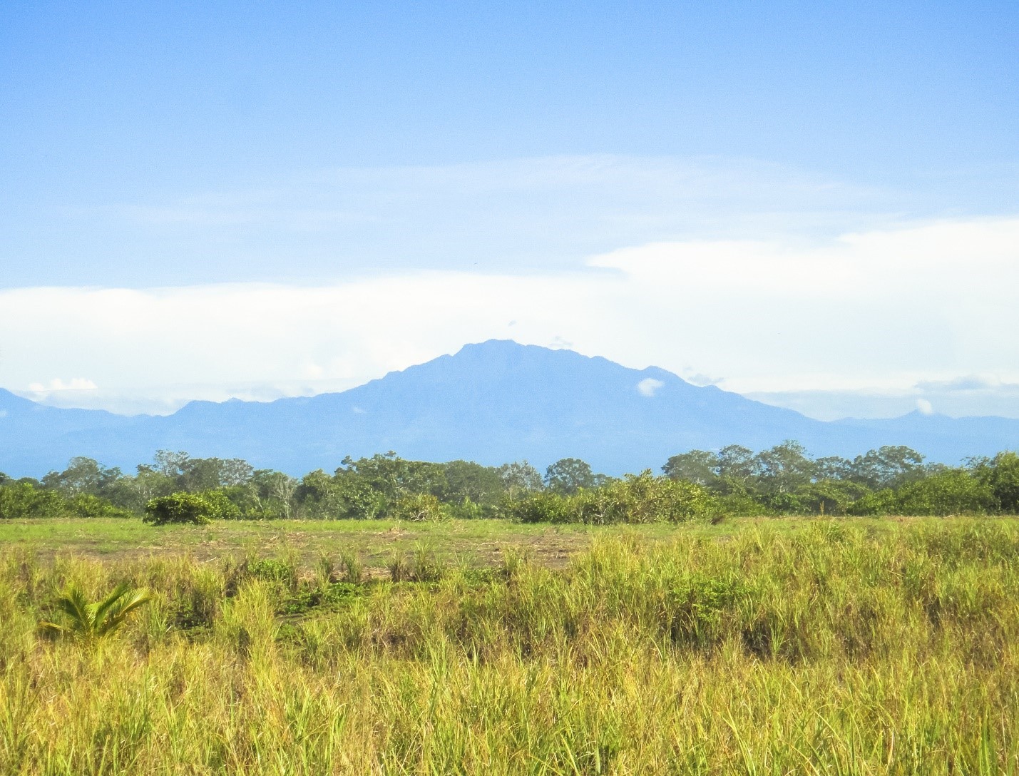 Volcán: Great Value Real Estate from $92,000