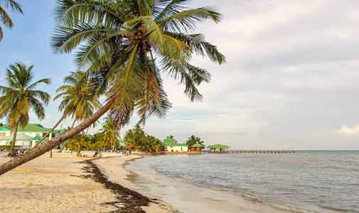 How 3 Pioneering Women Found Success in Belize