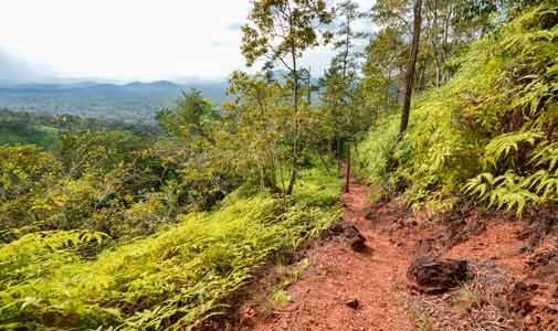 Midnight Thrills in Belize, Sustainable Strolls on Taboga, and More