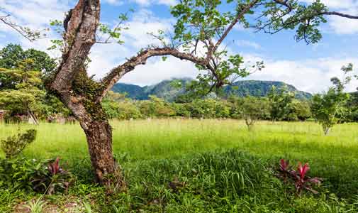 A Warm Bienvenido in Panama’s Lush Crater Town