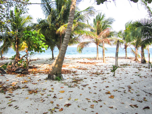 Scuba Diving in Belize