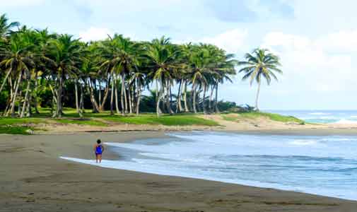 No Car, No Watch, No Problem, in Laidback Dominican Republic