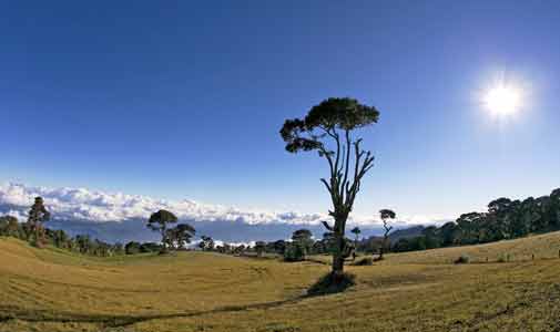 A Retirement Paradise  Down on the Farm