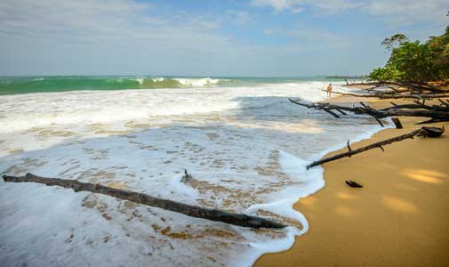 Two Drifters Settle Down in Bocas del Toro, Panama