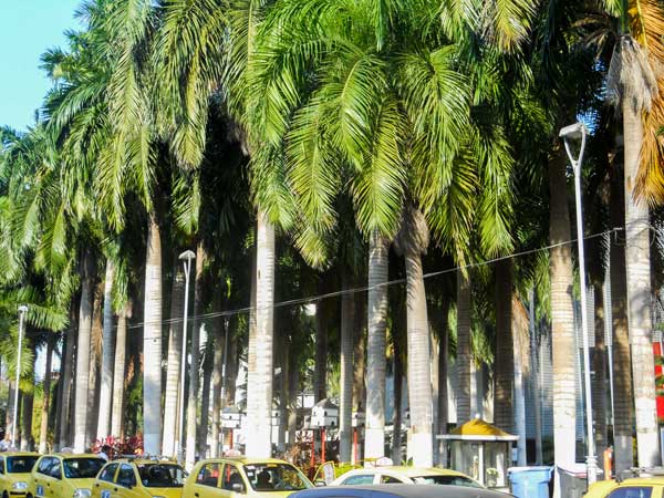 Barranquilla—Colombia’s Northern Seaside Metropolis