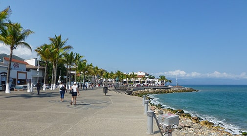 On the Trail of the Iguana Through Puerto Vallarta