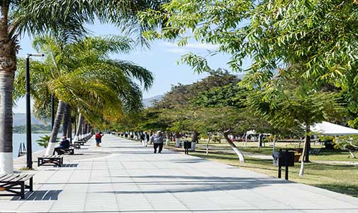 Happy and Healthy With a Growing Business in Ajijic