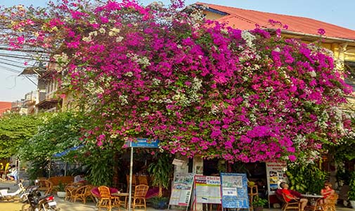 Kep and Kampot: Coastal Charm on the “Lost Riviera”