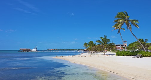 White Beaches and Swaying Palms: A Day Off in Belize