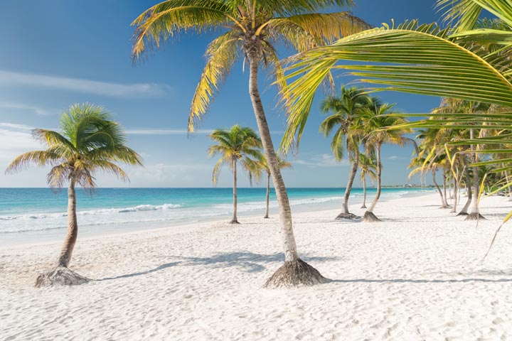 Clothes Optional in Chic Tulum