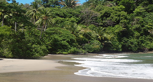 An Active Retirement Among the Wildlife of Costa Rica