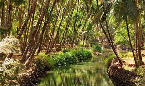 Following the Hippie Trail to Quiet Goa