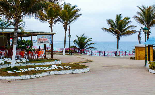 “We Walk on the Beach Every Day”