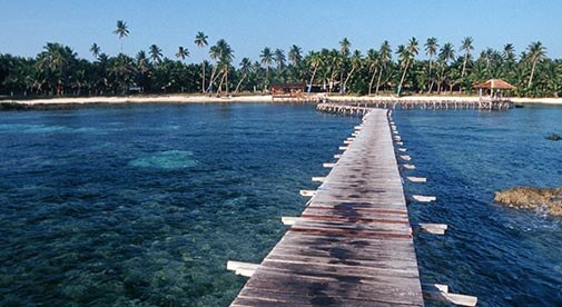 Back on Board: A Surfer Finds Happiness in the Philippines