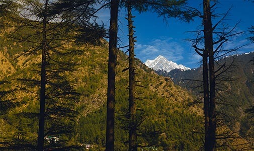 A Utopian Wonderland in the Indian Himalayas