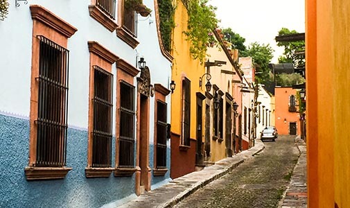 It’s a Dog’s Life in San Miguel de Allende