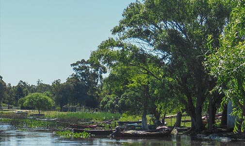 Rocha, Uruguay: A Charging Station for Introverts