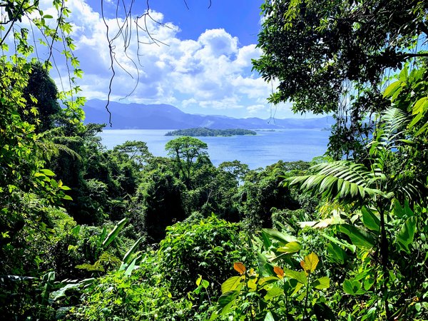 Costa Rica On A Budget: Where to Live For $2,500 or Less