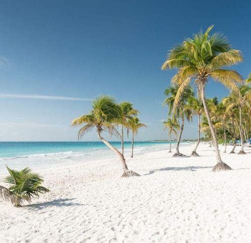 Tulum Deal: Your Three-Hour Warning…