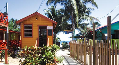 Keeping the Dream Alive in Caribbean Belize