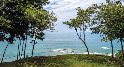 Profits in Paradise: Where to Watch in Costa Rica