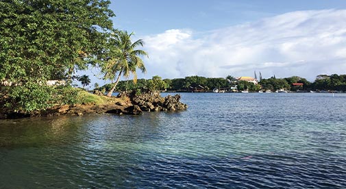 The Seasonal Rhythm of a Dive Charter in Roatán